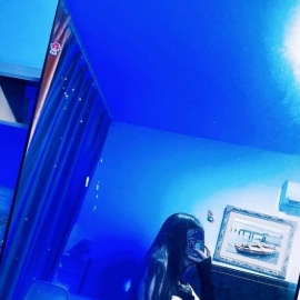 风骚性感屁股大馨菲