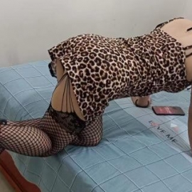 桂花公园如梦体验服务